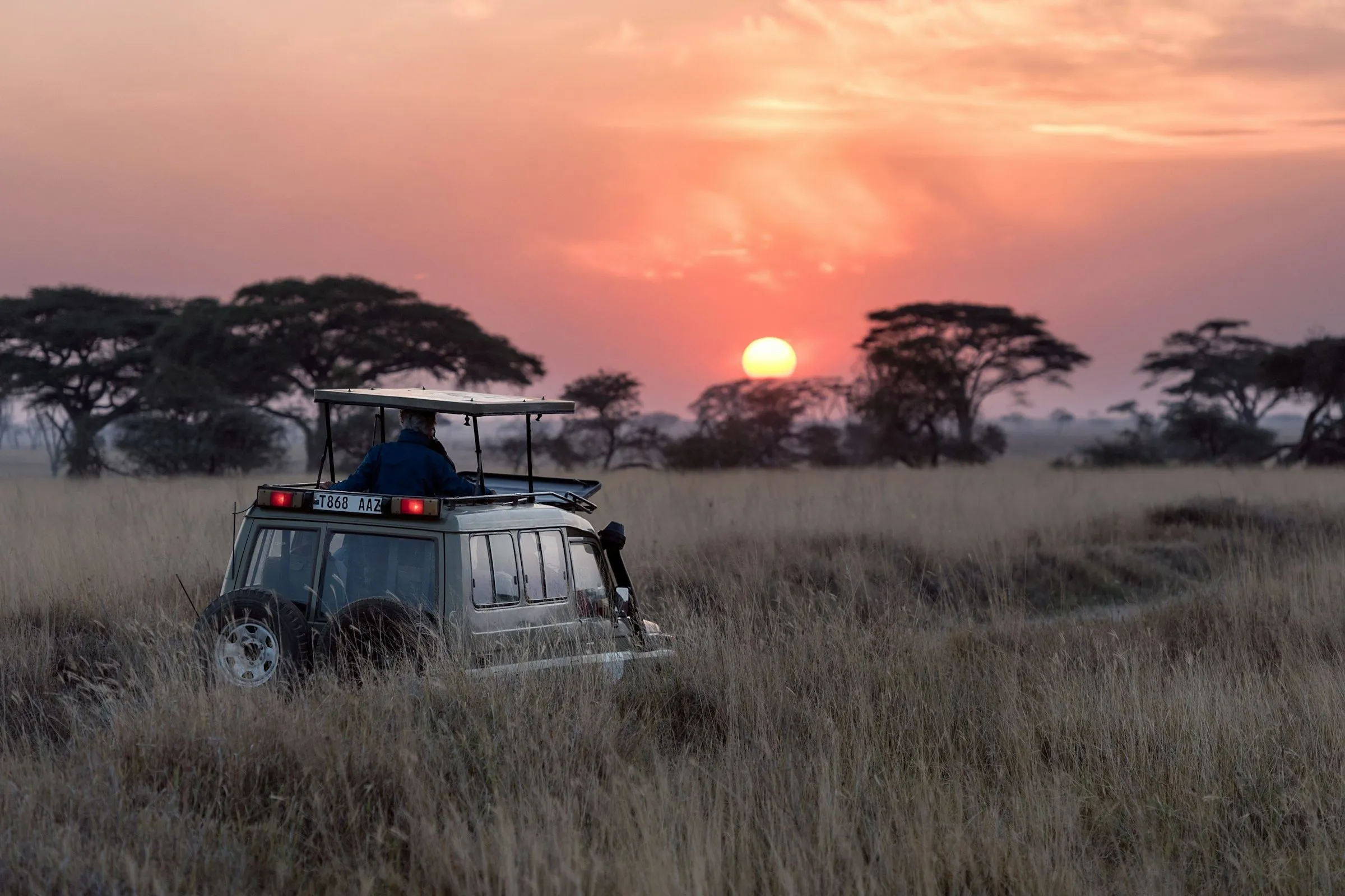 Safari vehicle crossing the savanna at sunset
