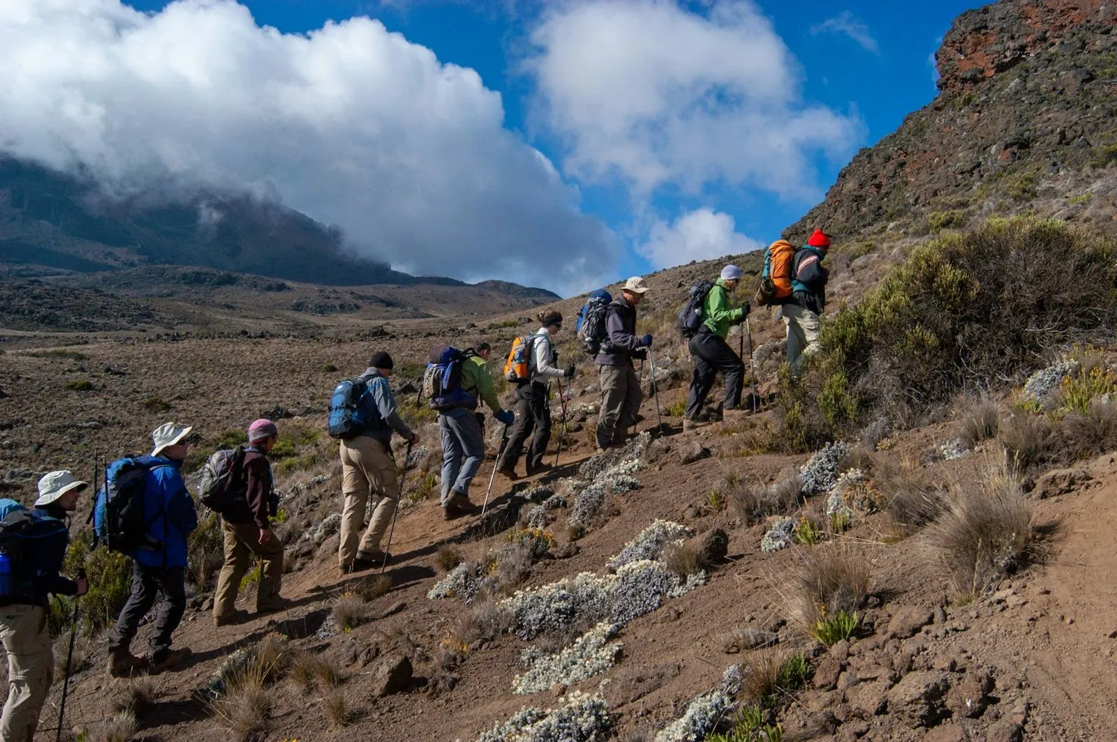 Trekkers hiking up the slopes of Kilimanjaro