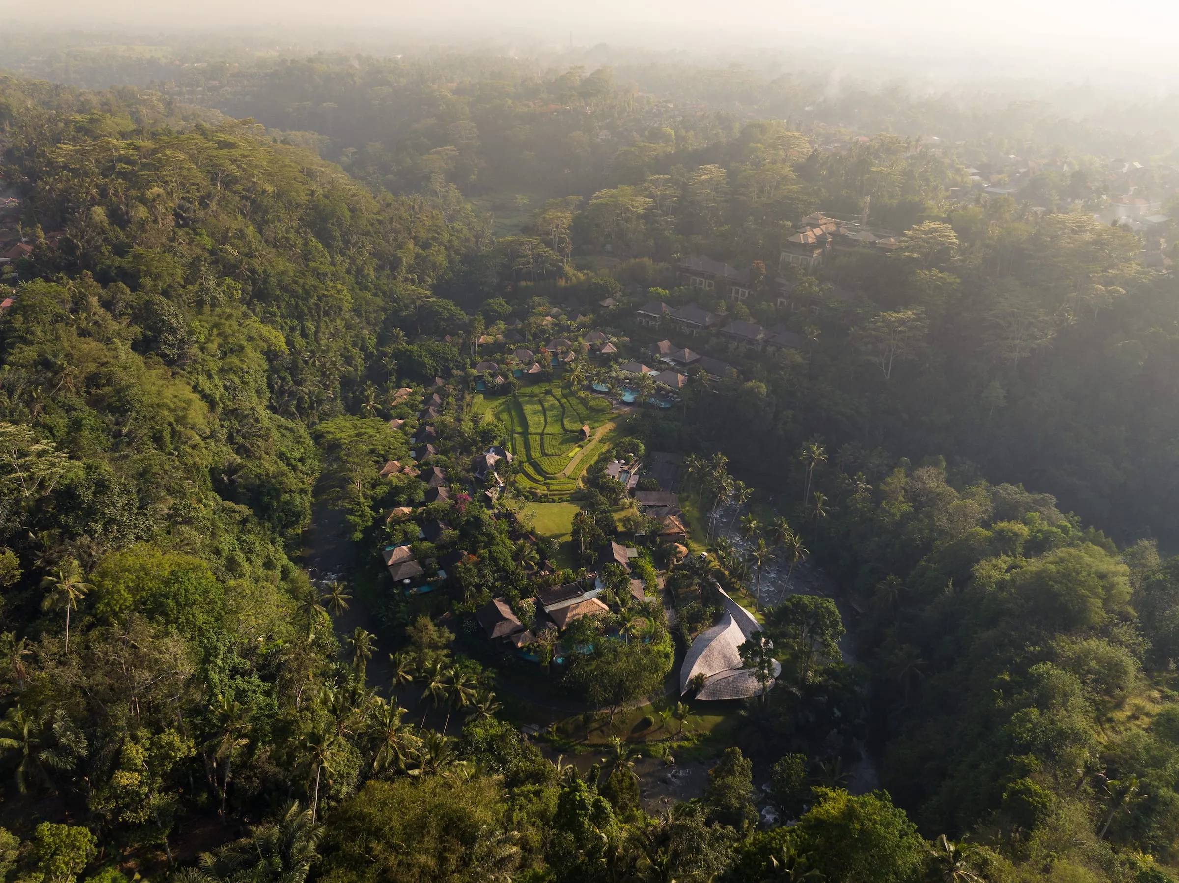 Jungle villa